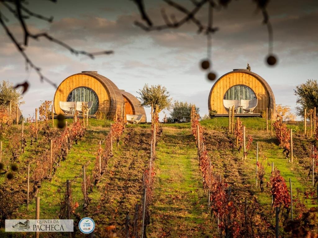 Plantação de vinhas a frente do The Wine House Hotel – Quinta da Pacheca durante o dia e ao fundo acomodações em formado de barril de vinho.